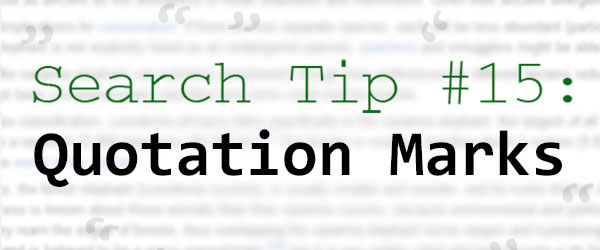search-tip-quotation-marks
