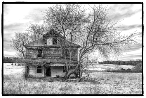 A black and white photo from the Medford Collection, depicting a weathered, wooden house and a barren tree growing in the front yard