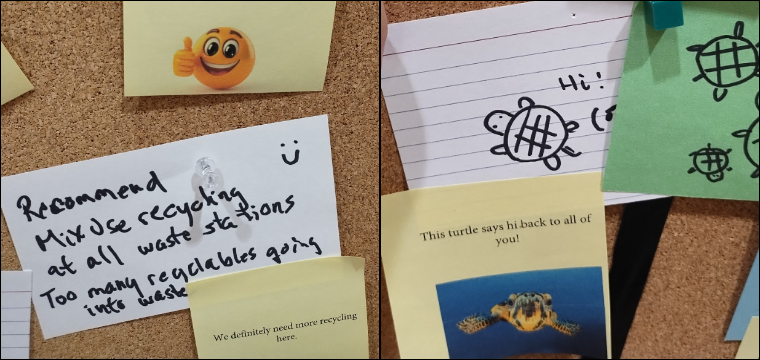 Cork board with various notes and drawings, including text about recycling and turtle illustrations.