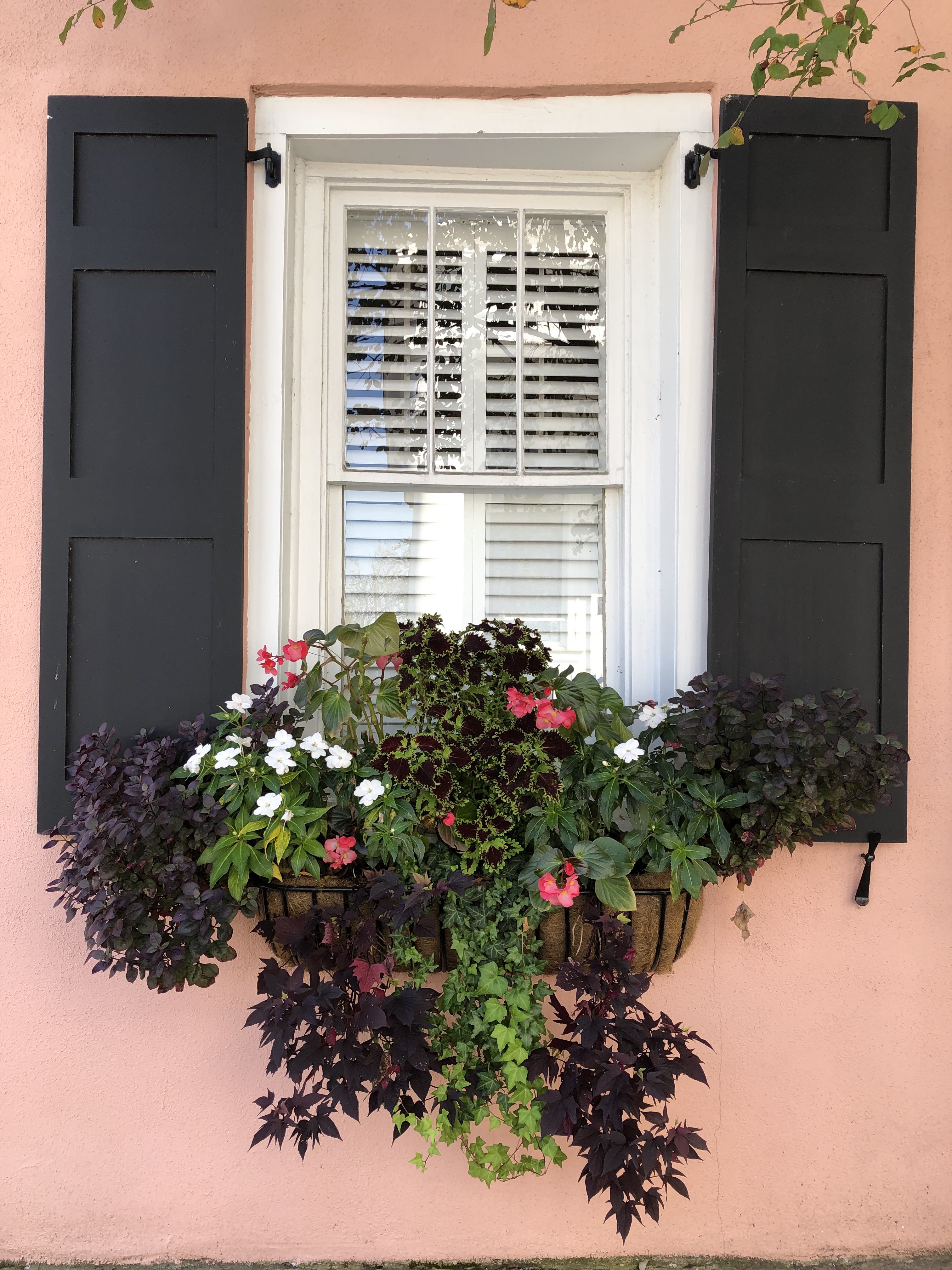 window box with various flowers and plants on a pink house