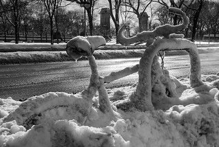 The Day After Along Michigan Avenue