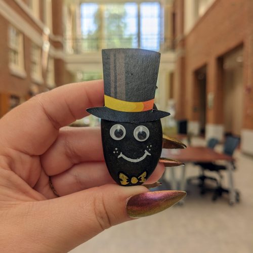 A round, black stone with googely eyes and a cute hand-drawn smiley face. It wears a Demon Deacon top hat and gold, drawn-on bow tie.